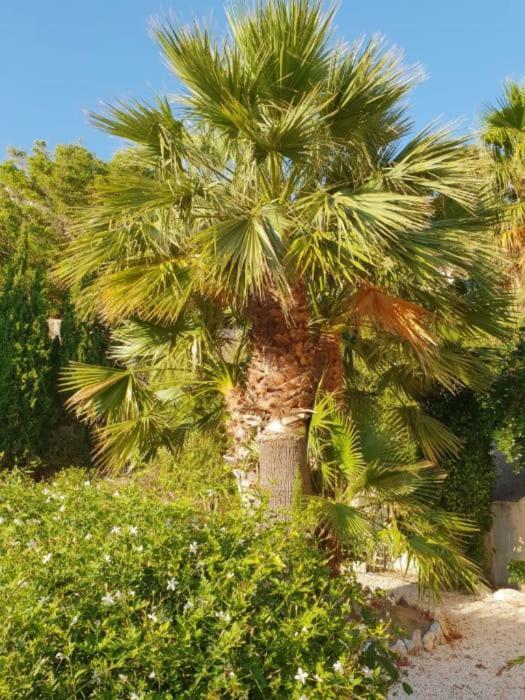 Banyan Cotobro Βίλα Almuñécar Εξωτερικό φωτογραφία